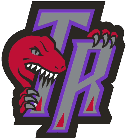 Toronto Raptors 1995-2006 Alternate Logo fabric transfer version 3